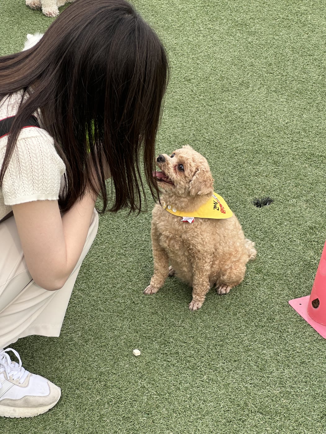 펫마트 체험 이벤트
